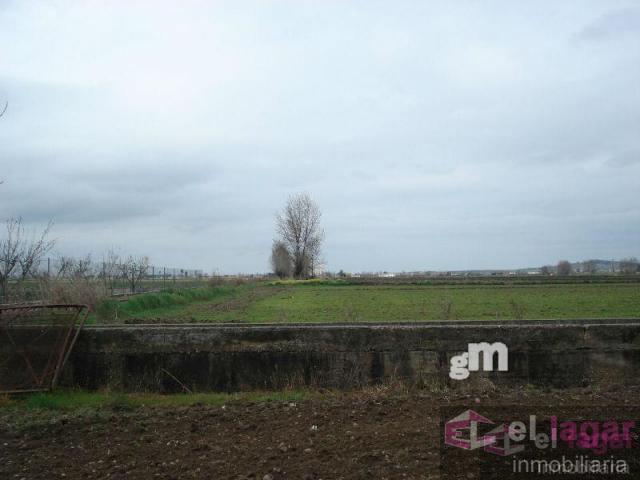 For sale of land in Montijo