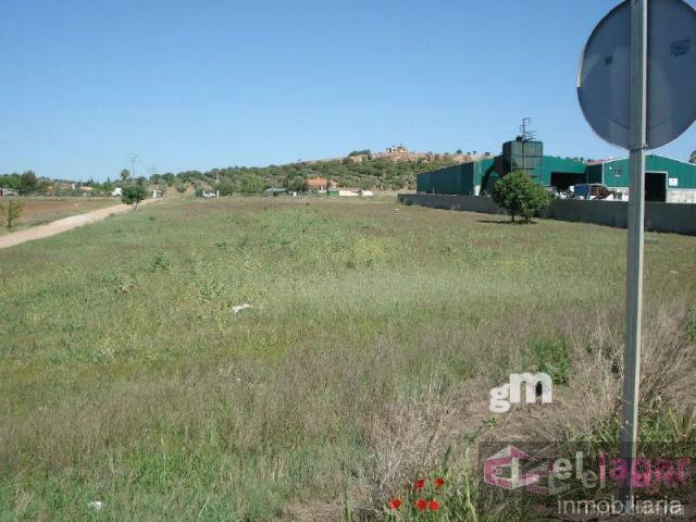 For sale of land in Montijo