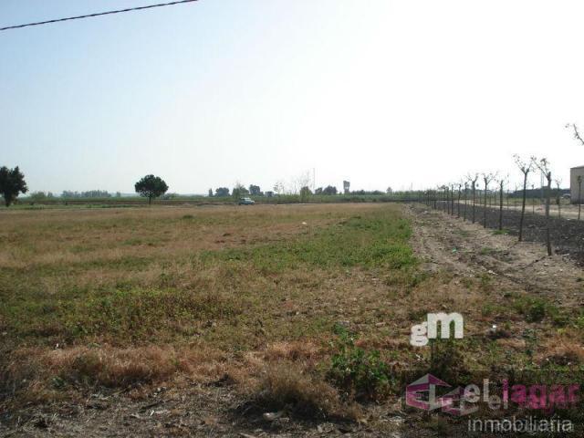 For sale of land in Torremayor