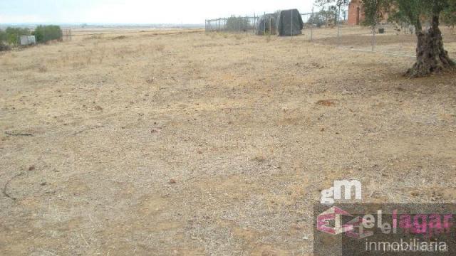 For sale of land in Montijo