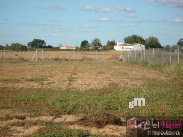 For sale of land in Montijo