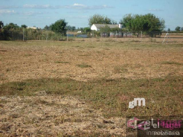 For sale of land in Montijo