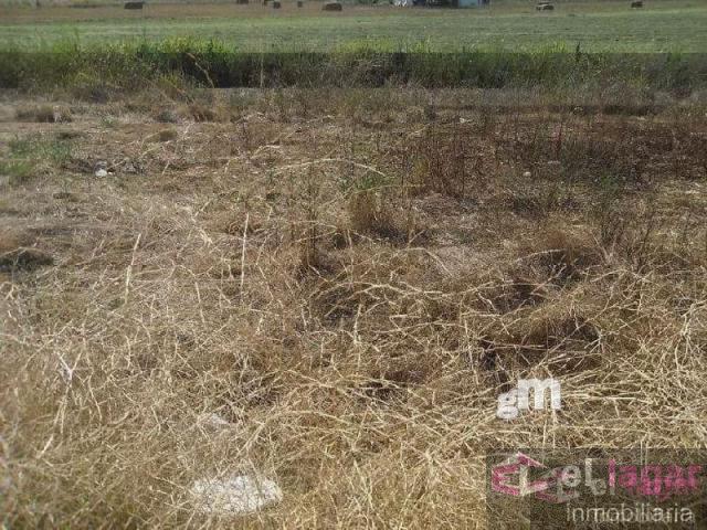 For sale of land in Montijo