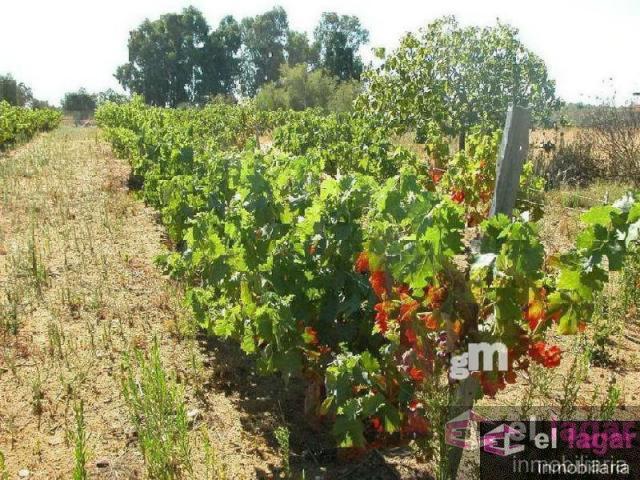 For sale of land in Montijo