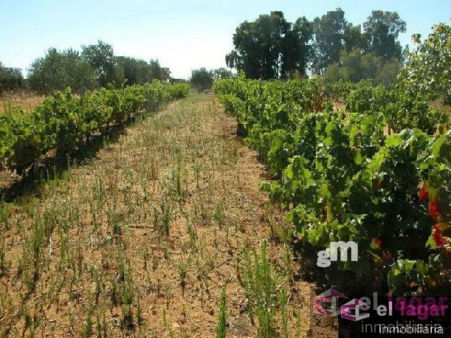 For sale of land in Montijo