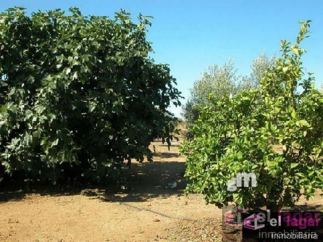 For sale of land in Montijo