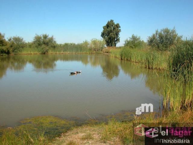 For sale of land in Montijo