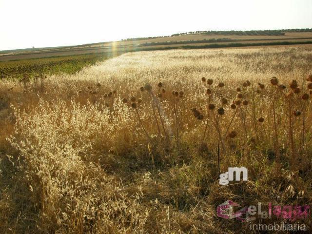 For sale of land in Montijo