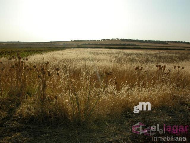 For sale of land in Montijo