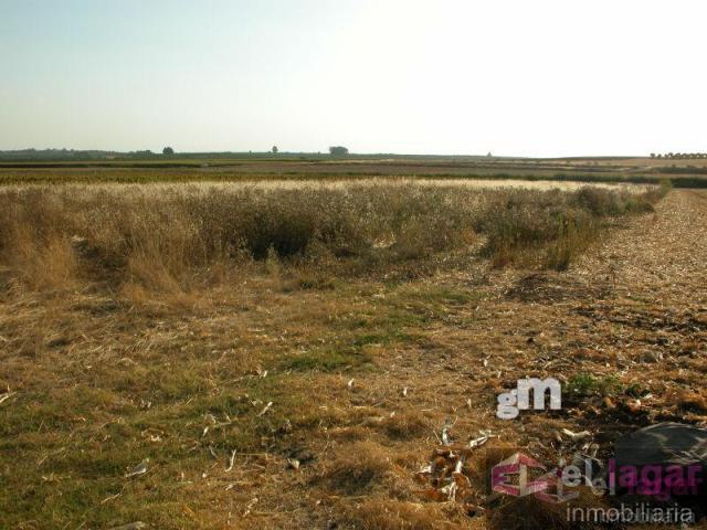 For sale of land in Montijo