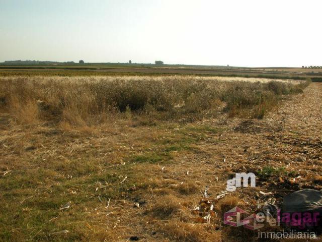 For sale of land in Montijo