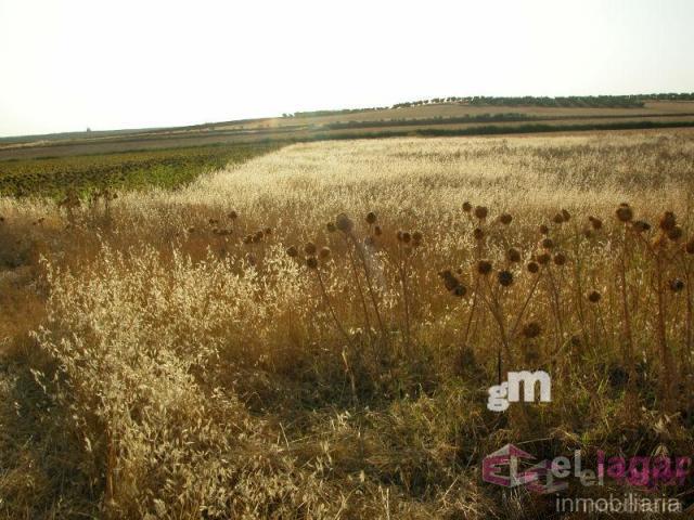 Venta de terreno en Montijo