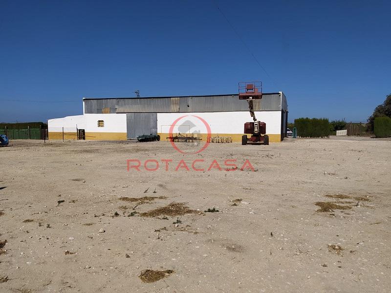 Venta de finca rústica en Rota