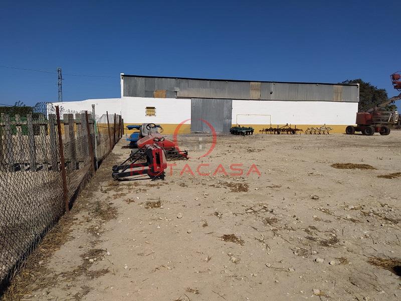 Venta de finca rústica en Rota