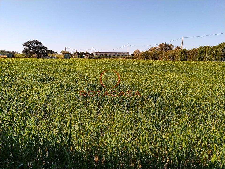 Venta de finca rústica en Rota