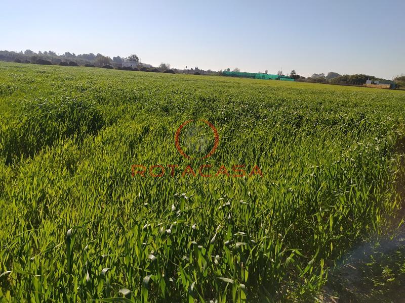 Venta de finca rústica en Rota