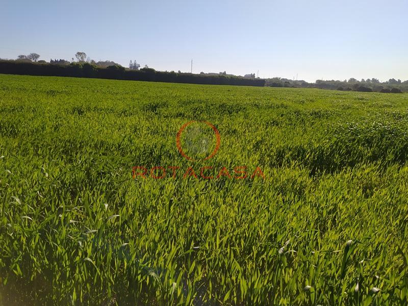 Venta de finca rústica en Rota