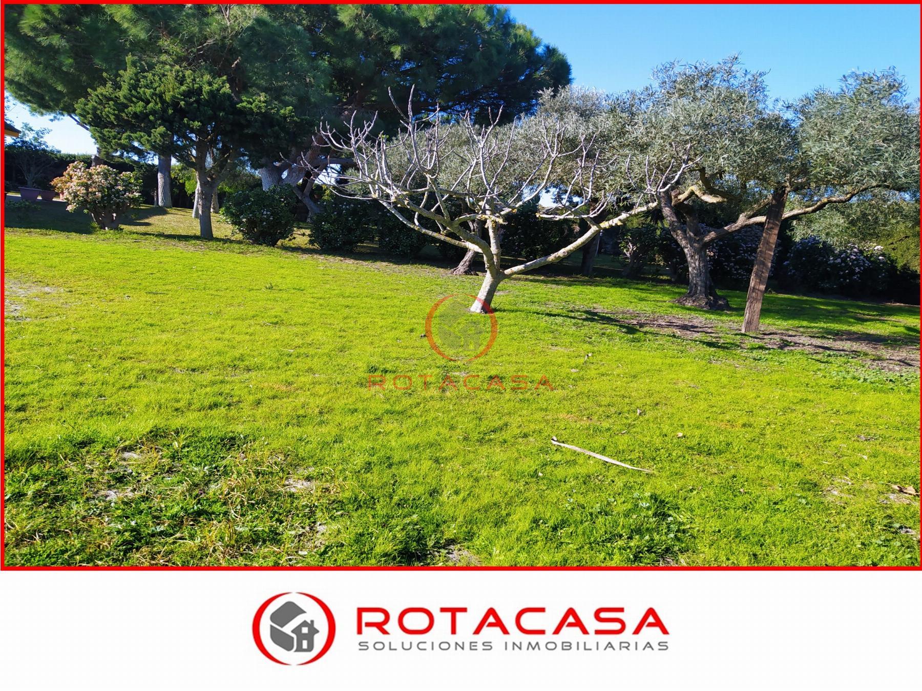For sale of rural property in Rota