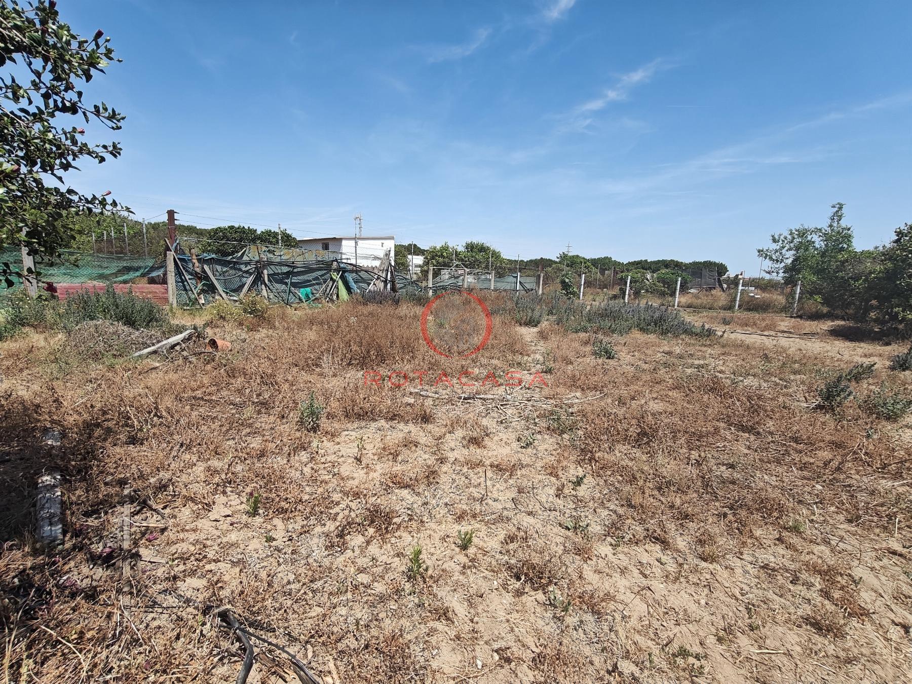 For sale of rural property in Rota