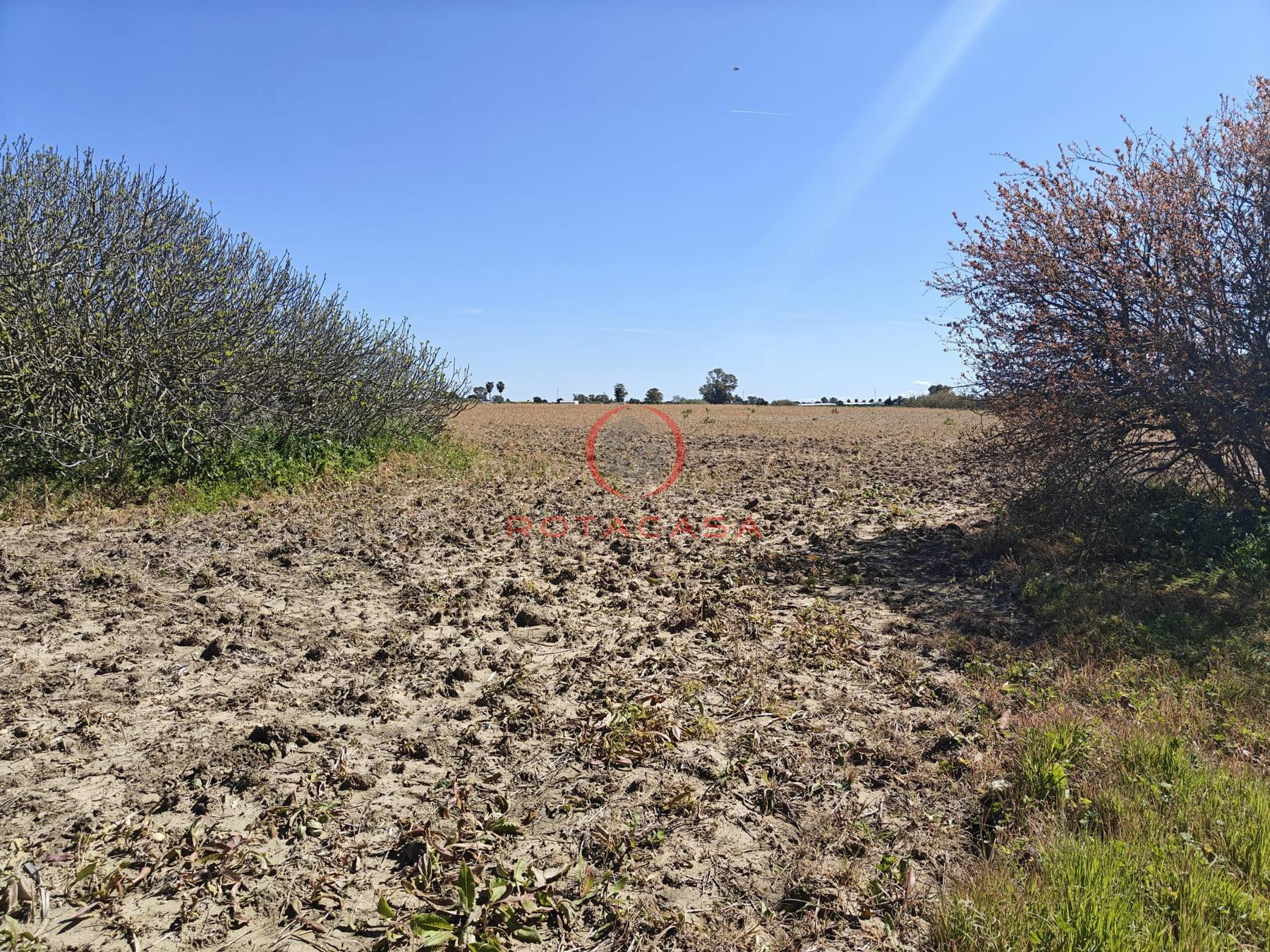 Venta de finca rústica en Rota