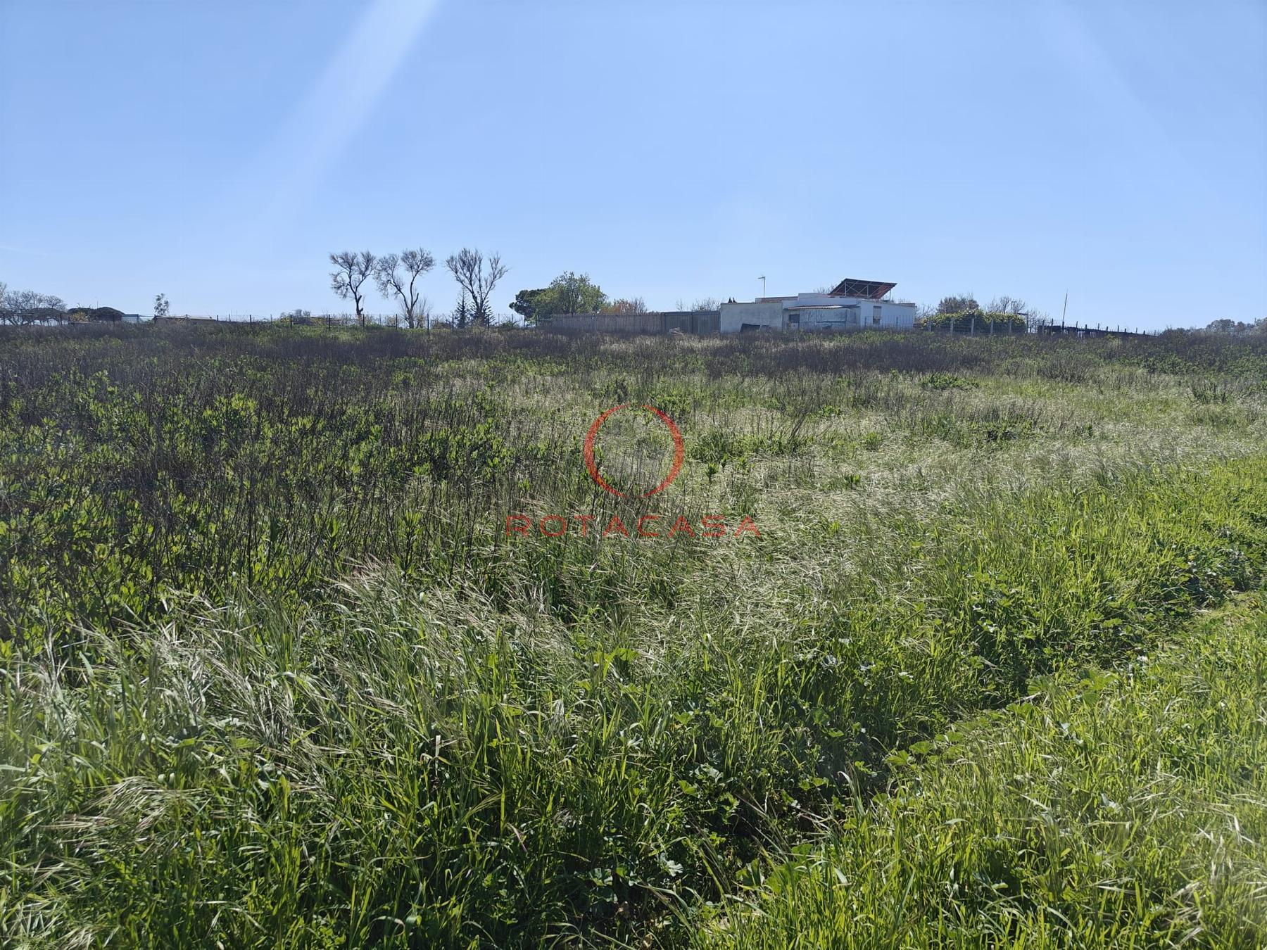 Venta de finca rústica en Rota