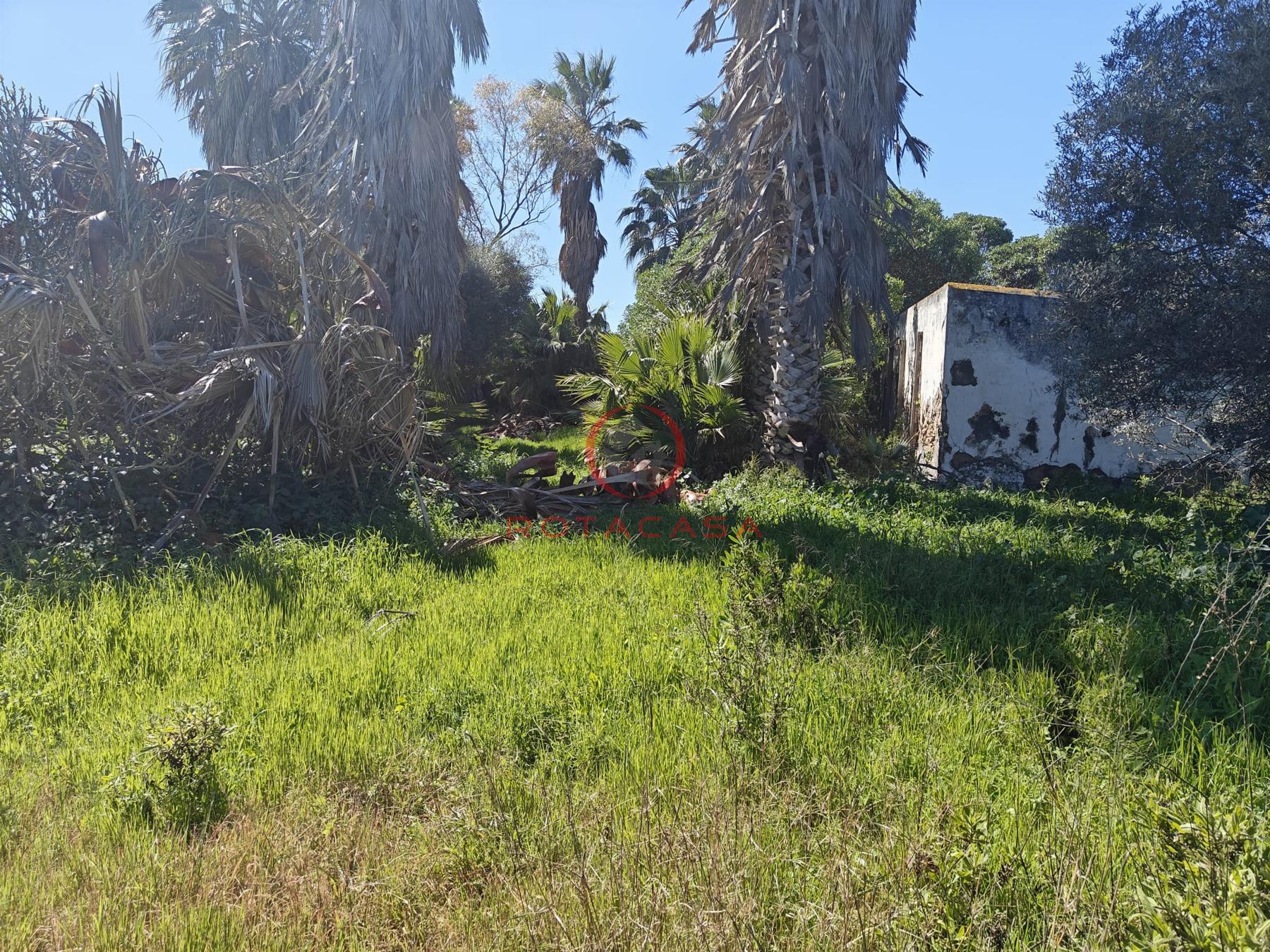 Venta de finca rústica en Rota