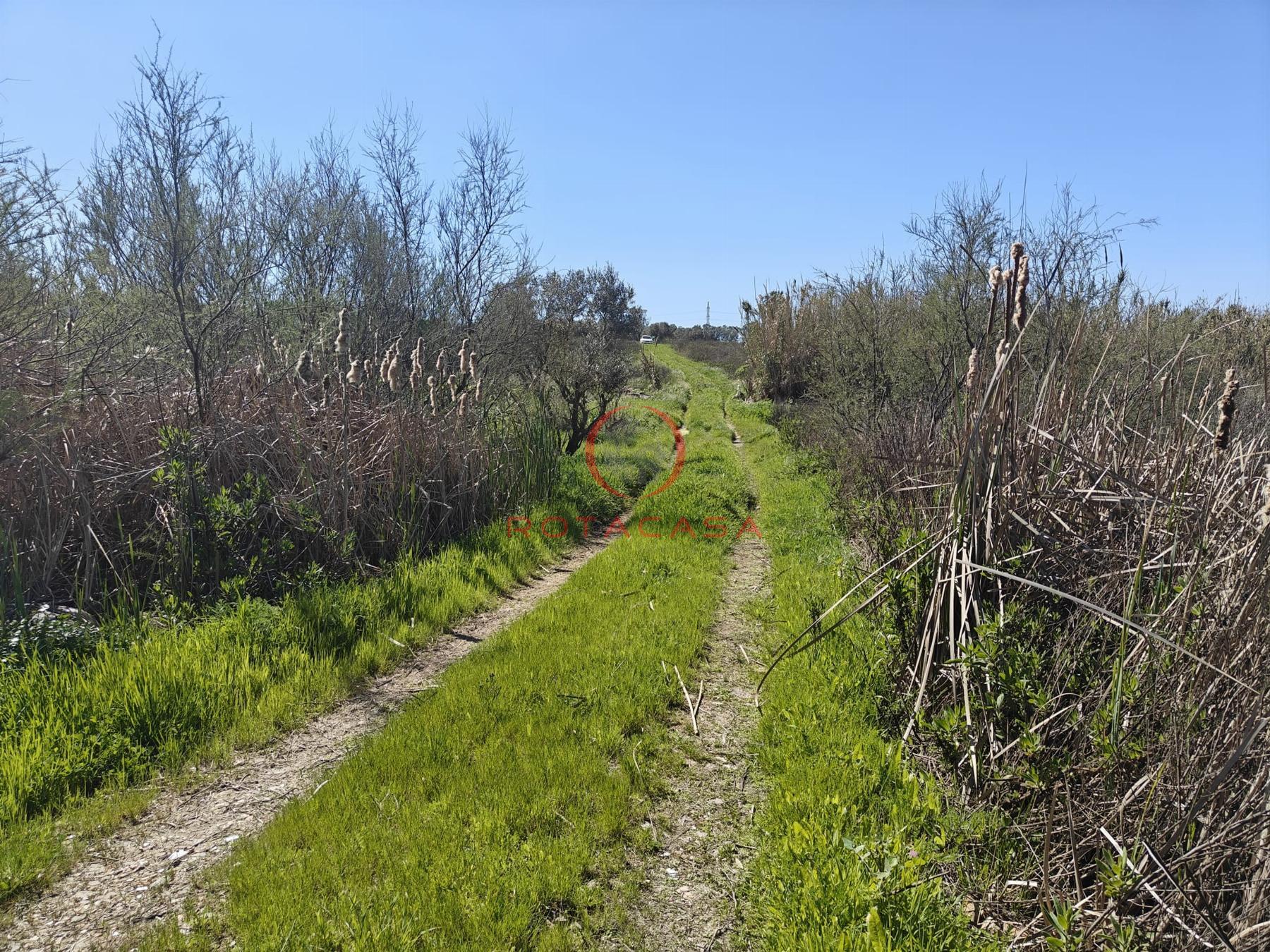 Venta de finca rústica en Rota