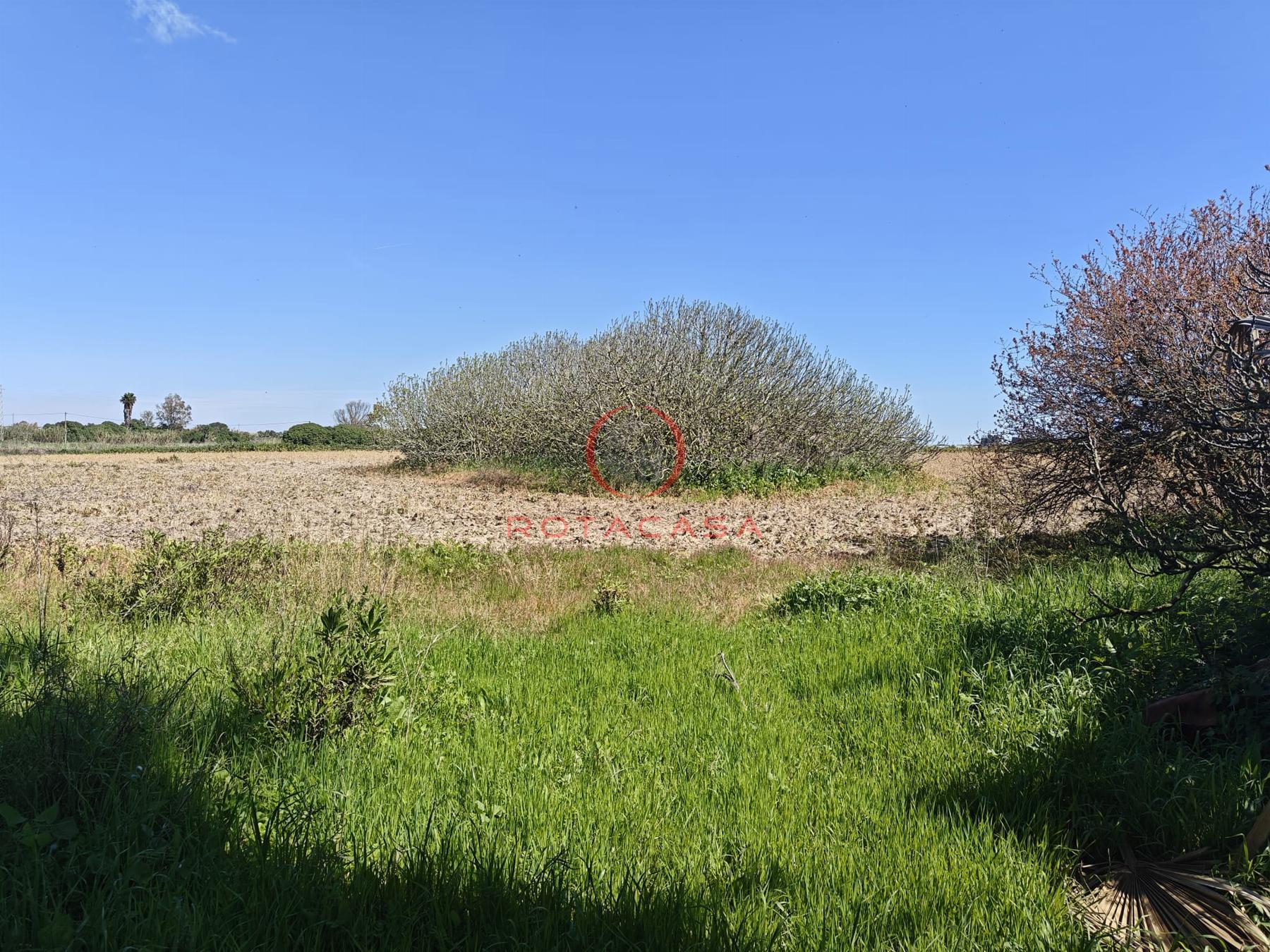 Venta de finca rústica en Rota