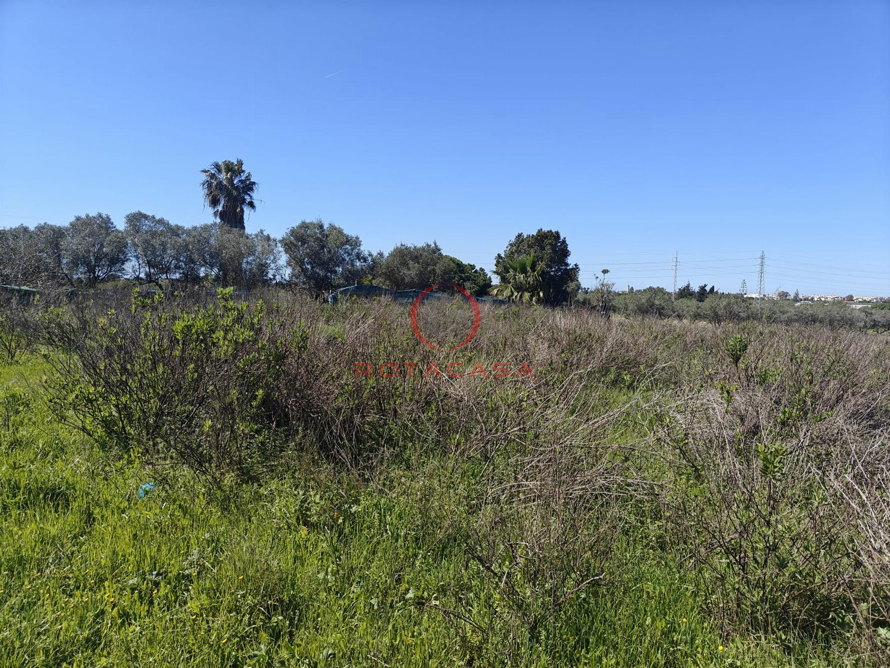 Venta de finca rústica en Rota