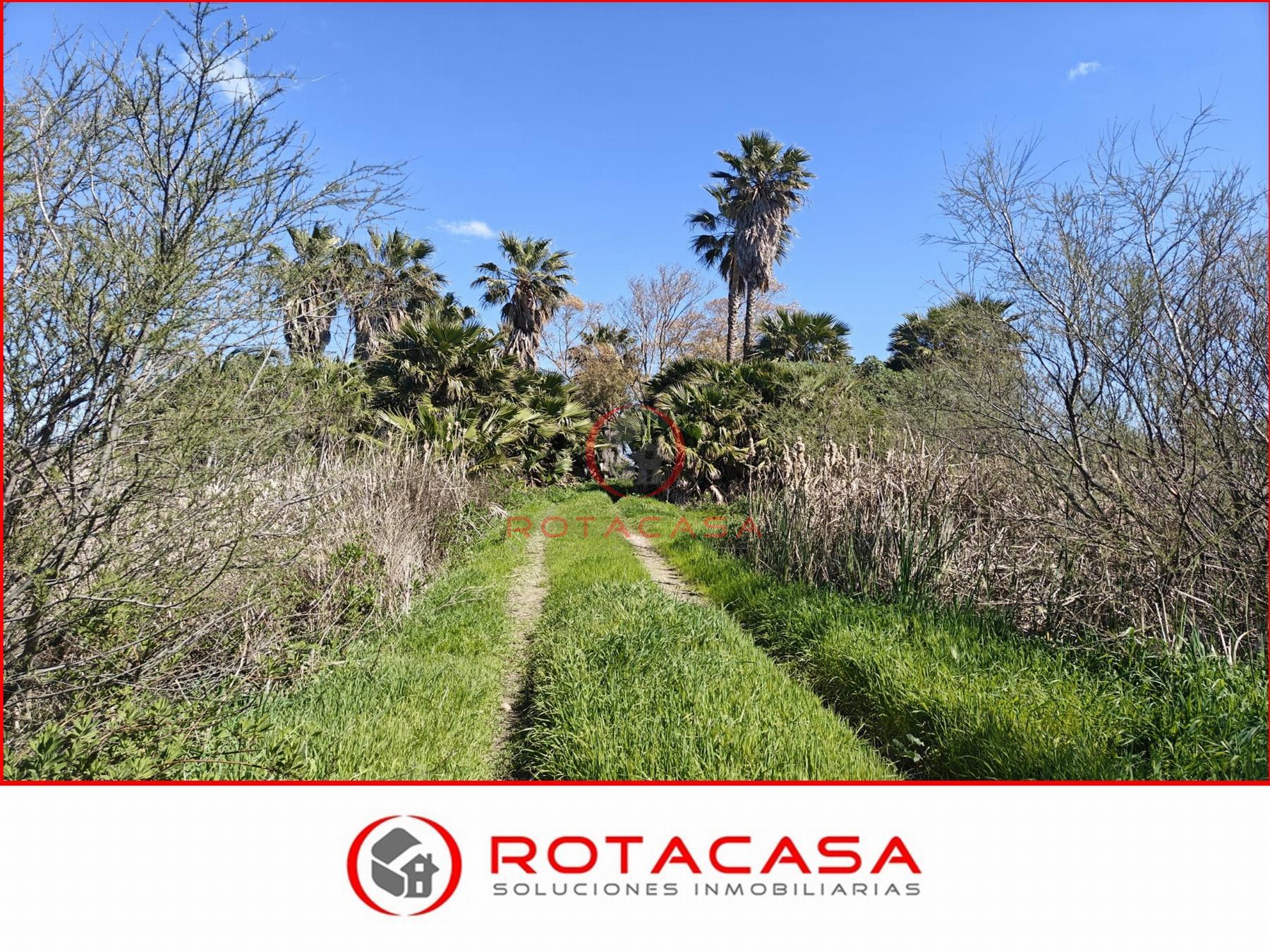 Venta de finca rústica en Rota