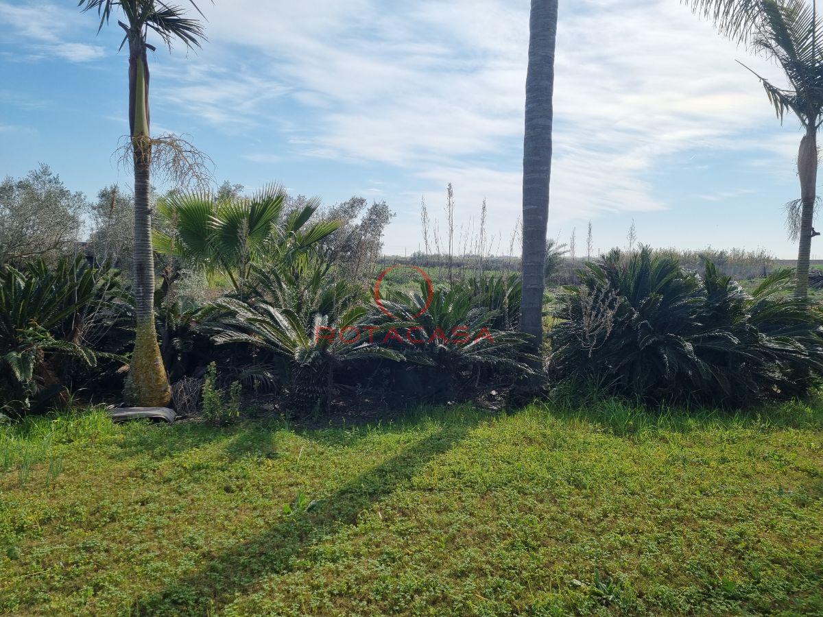 For sale of rural property in Rota