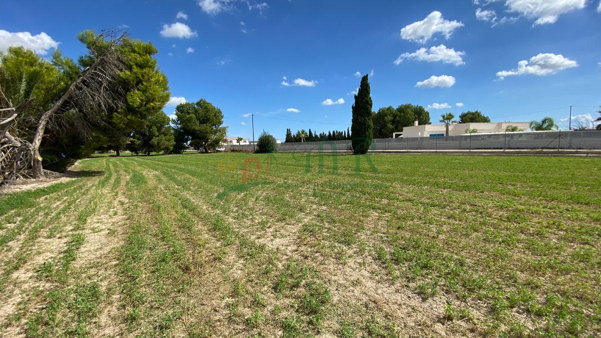 For sale of land in Cox