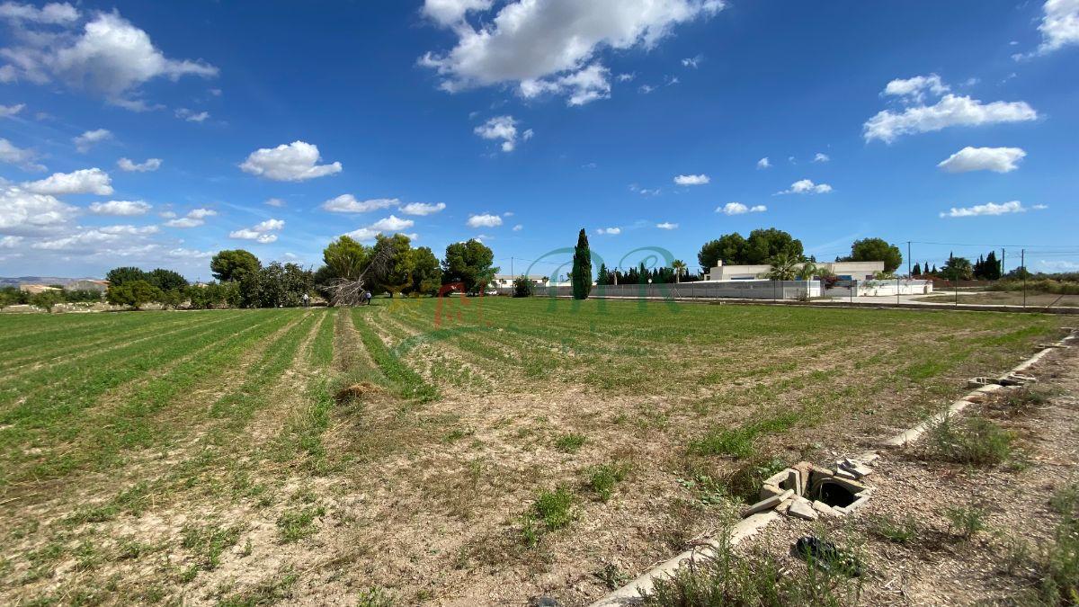 For sale of land in Cox