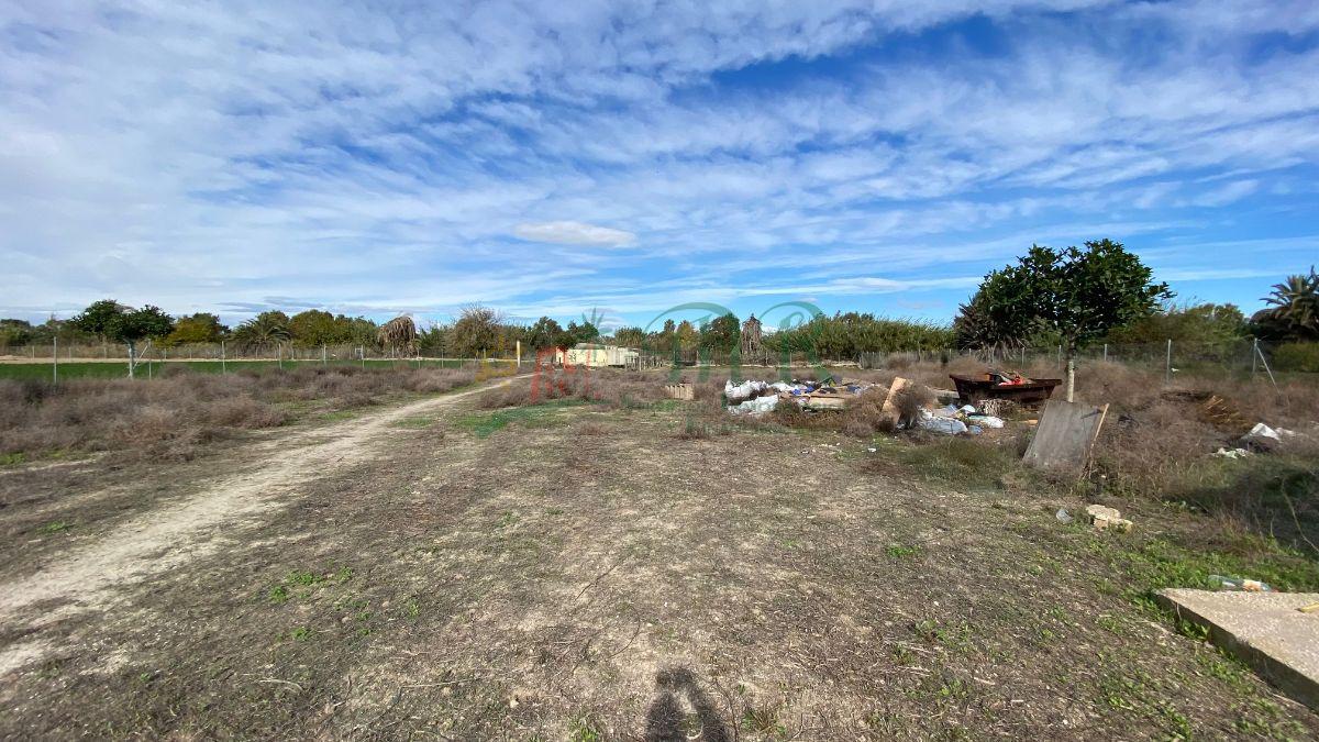 Venta de finca rústica en Almoradí