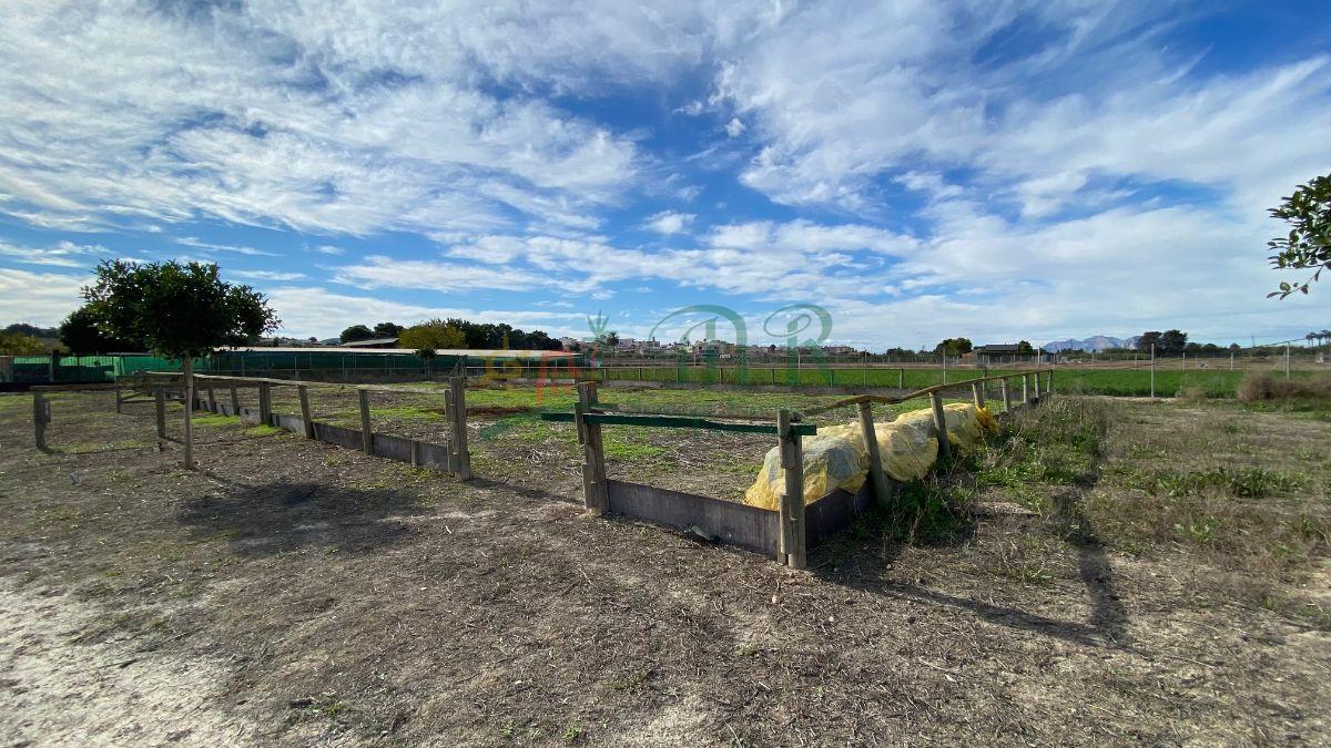 Venta de finca rústica en Almoradí