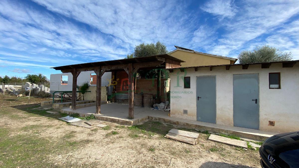 Venta de finca rústica en Almoradí