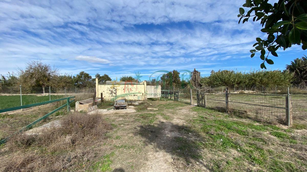 For sale of rural property in Almoradí