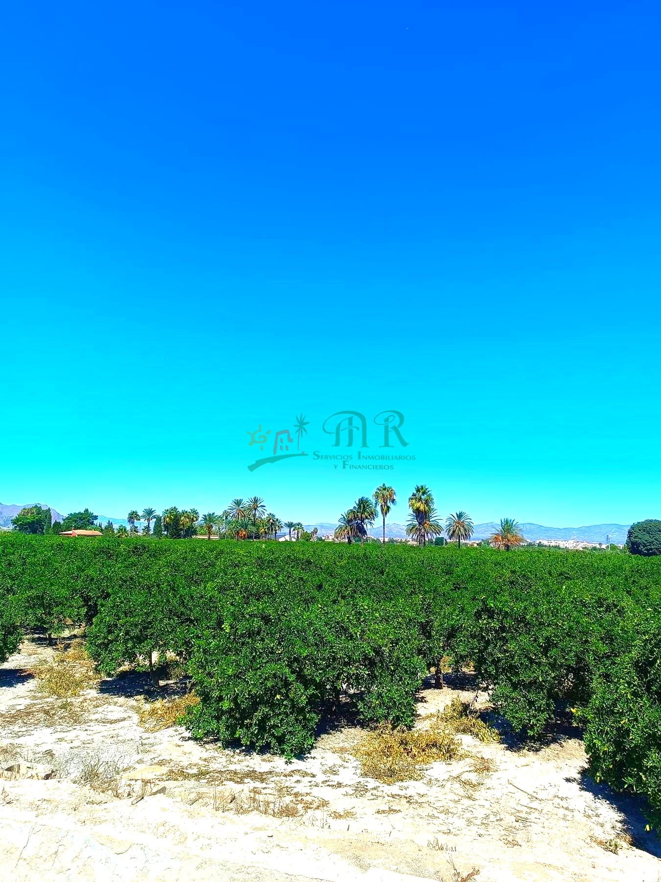 For sale of rural property in Almoradí
