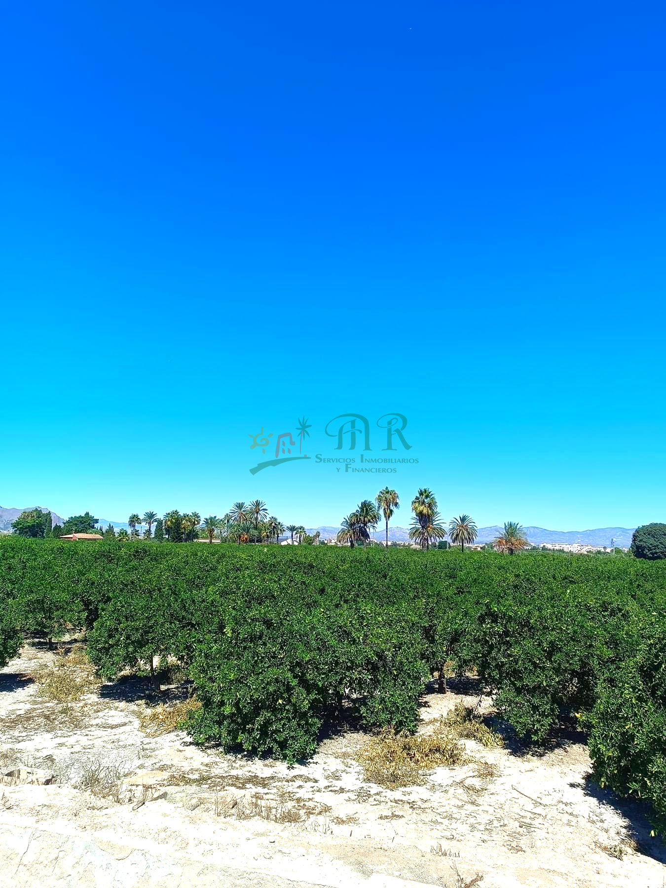 For sale of land in Almoradí