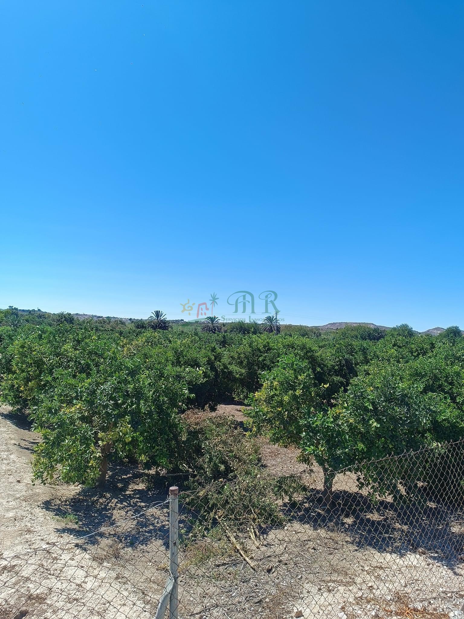 For sale of land in Almoradí