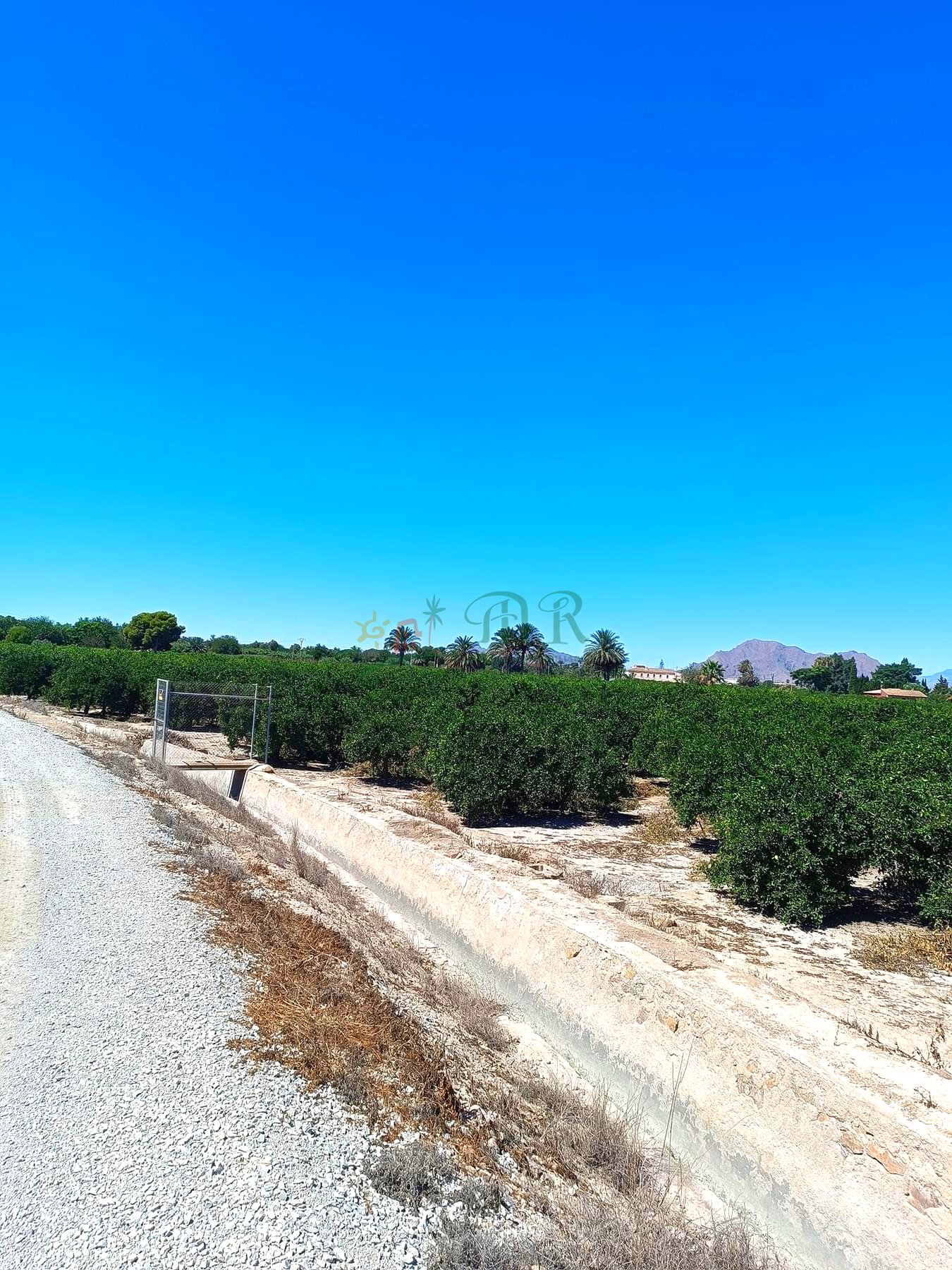 For sale of land in Almoradí