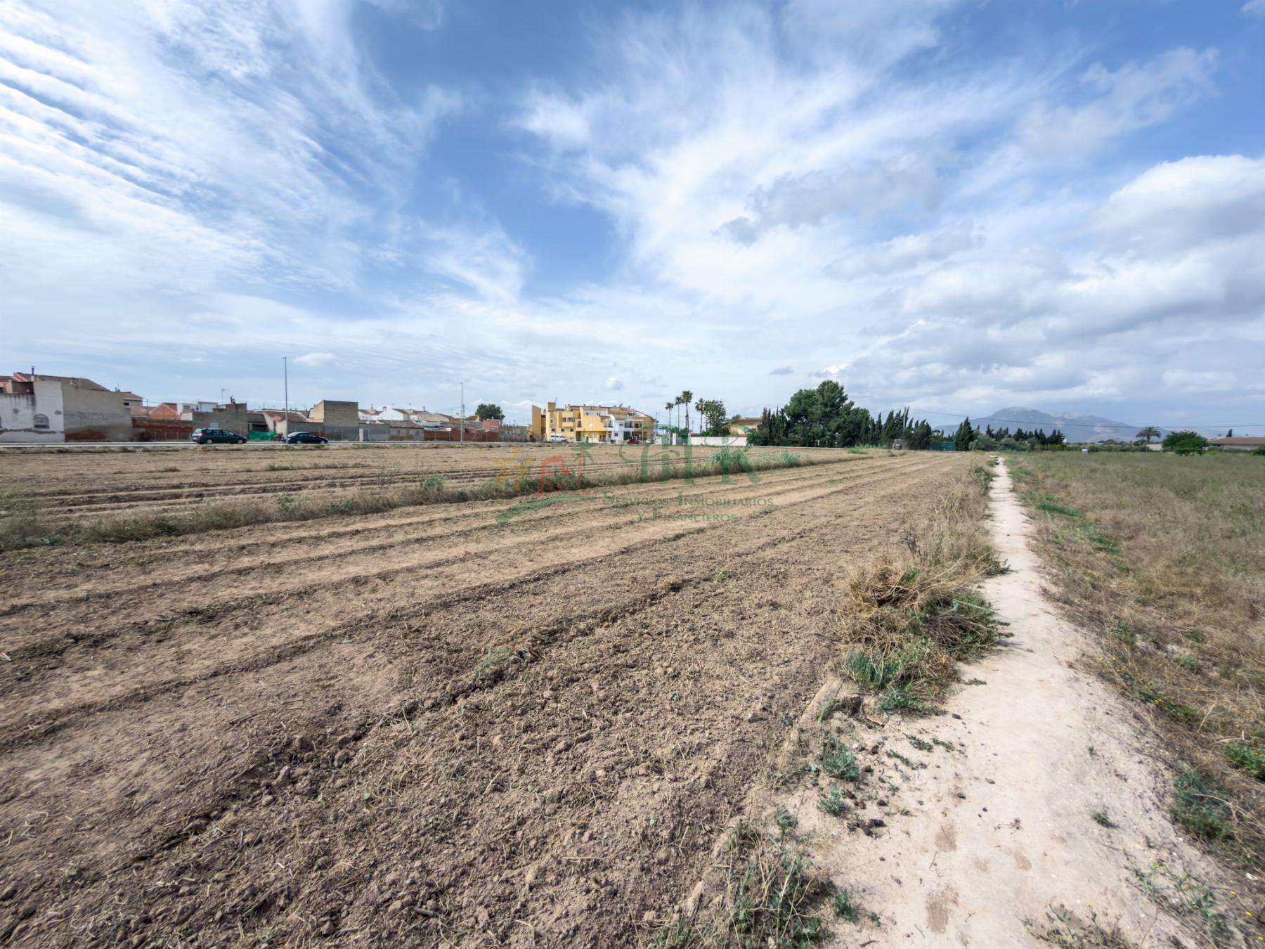 Venta de terreno en Catral