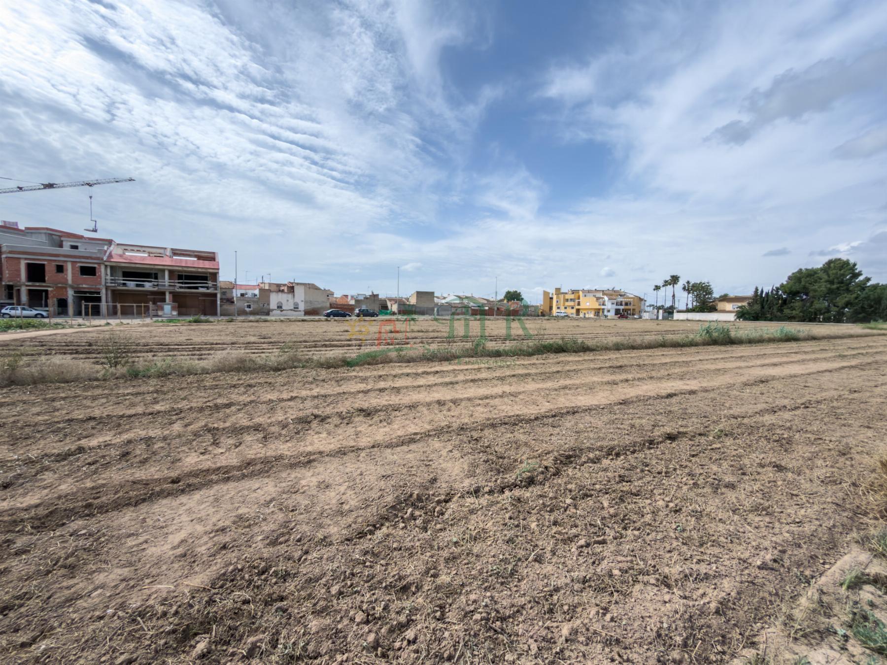 Venta de terreno en Catral