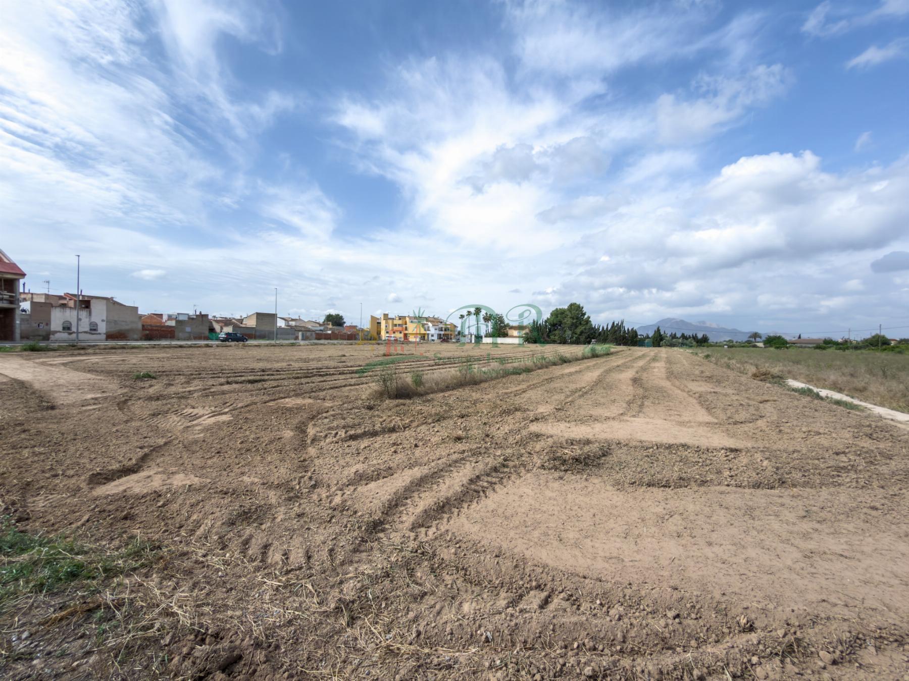 Venta de terreno en Catral