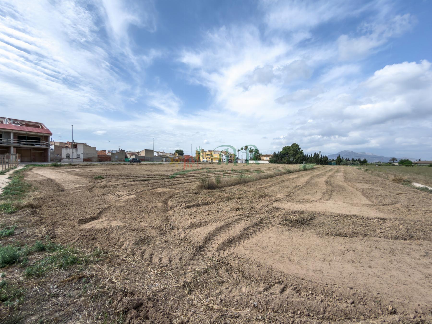 Venta de terreno en Catral