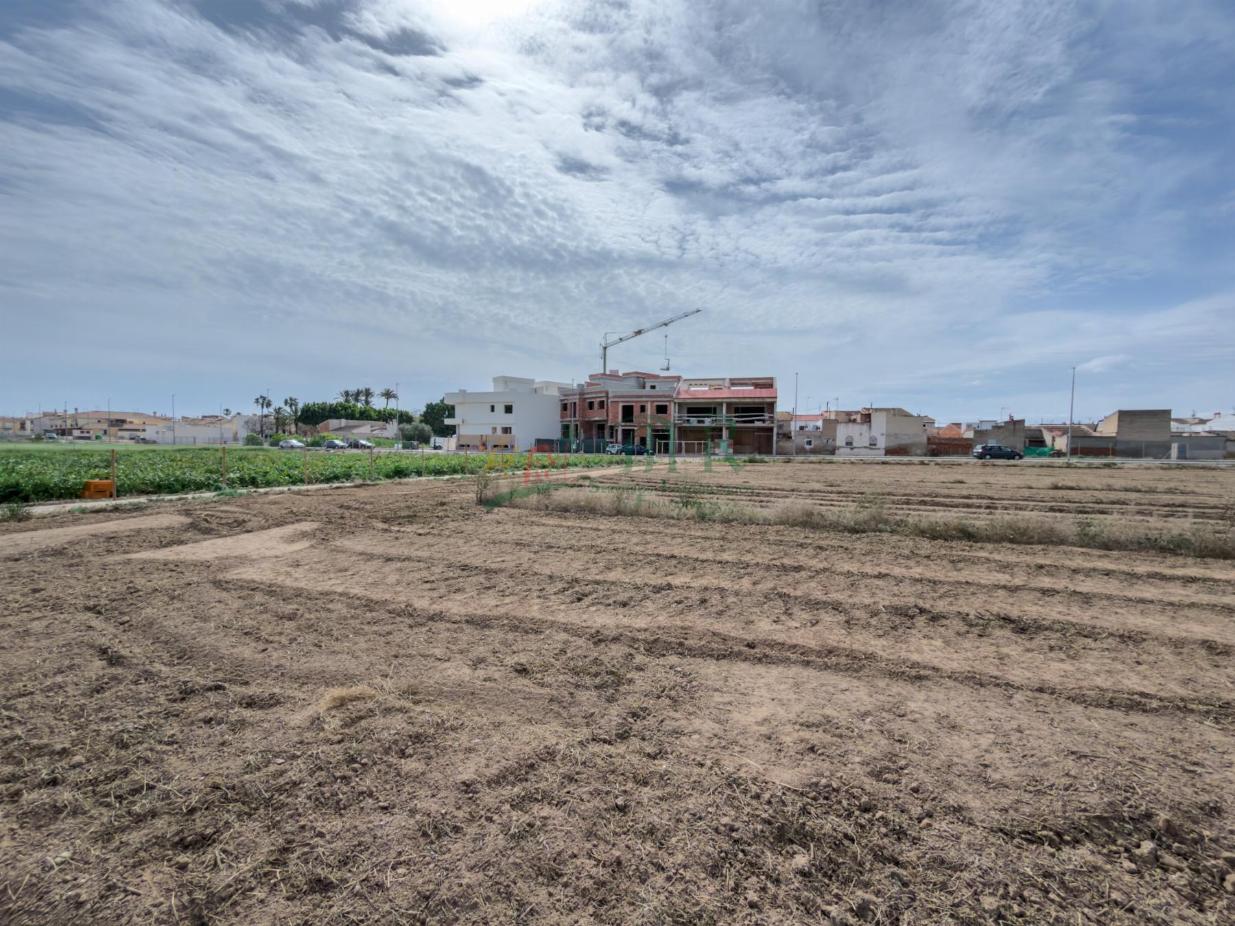 Venta de terreno en Catral