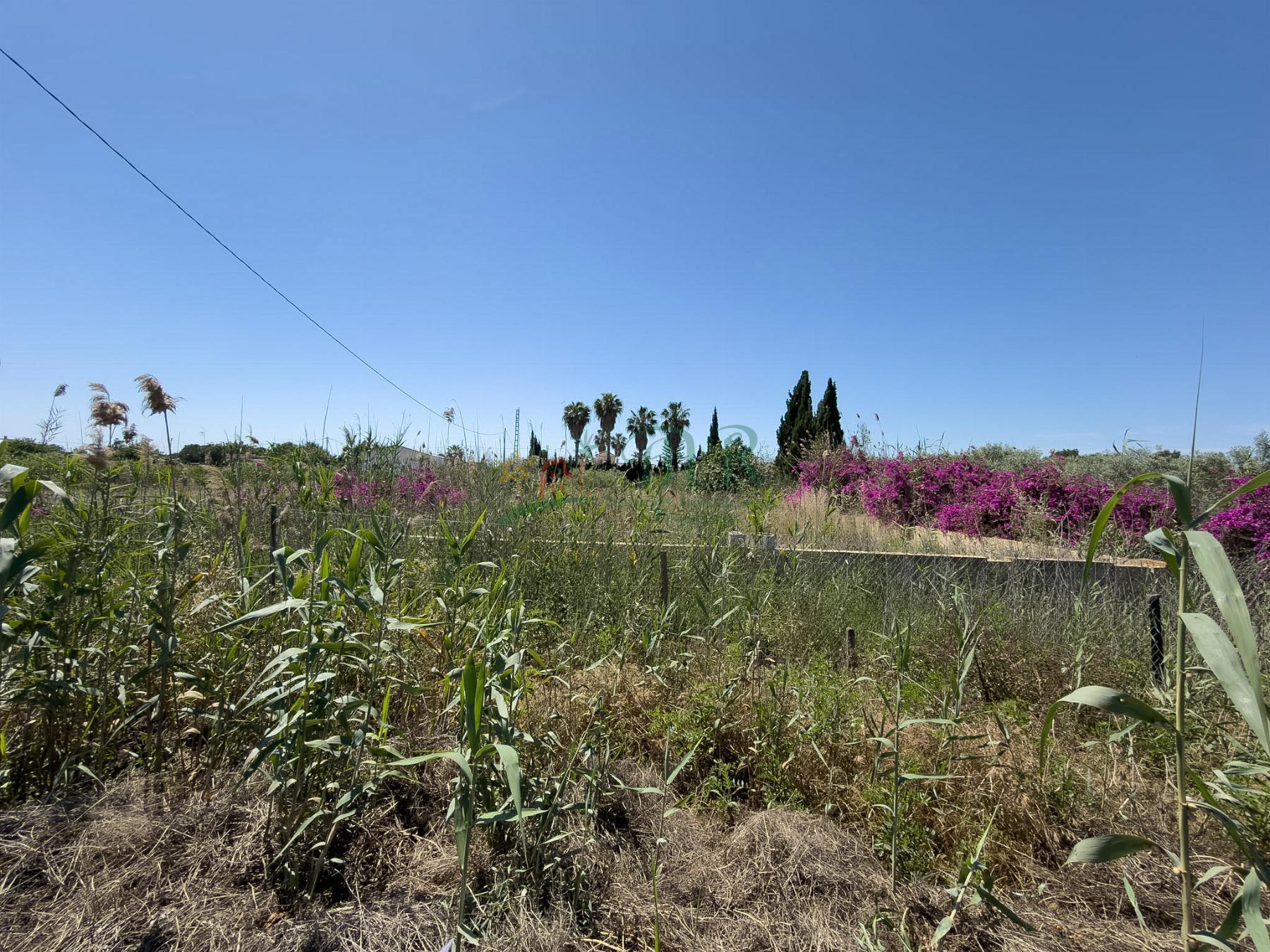 Venta de terreno en Dolores