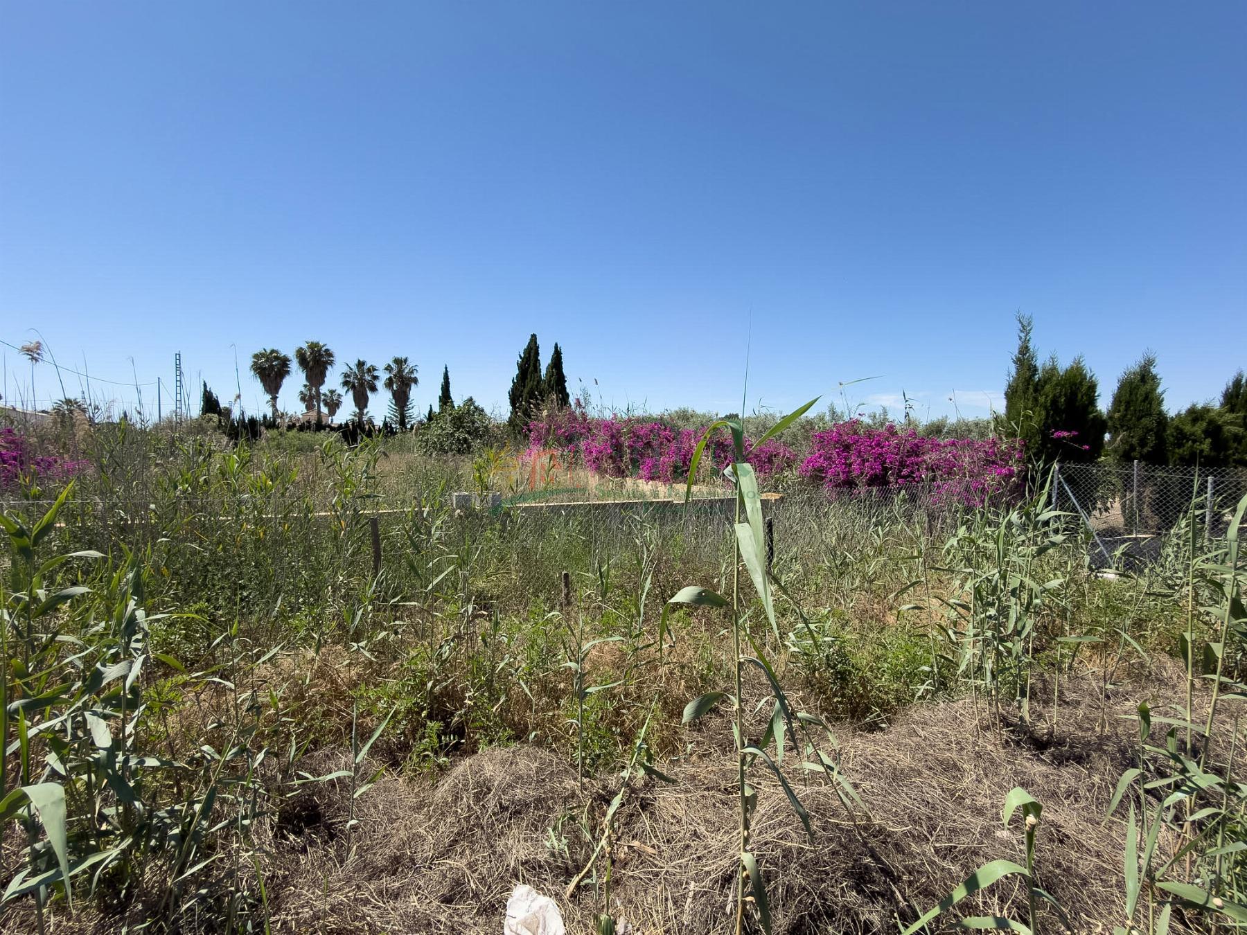 Venta de terreno en Dolores