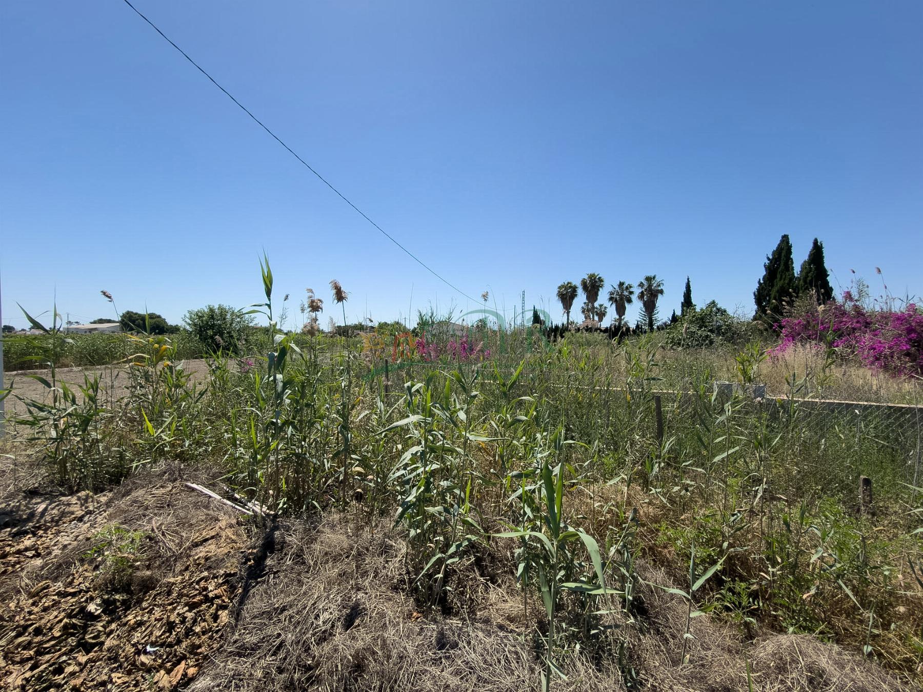 Venta de terreno en Dolores