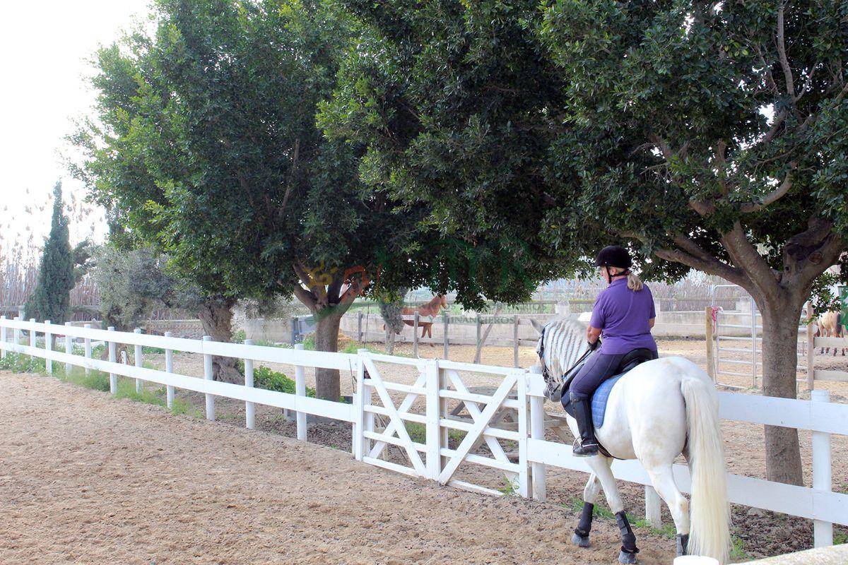 Venta de finca de recreo en Dolores Venta de finca de recreo en Dolores